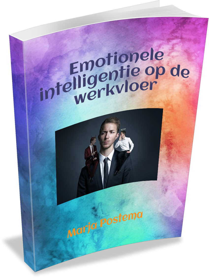 Eboek Emotionele Intelligentie Op De Werkvloer